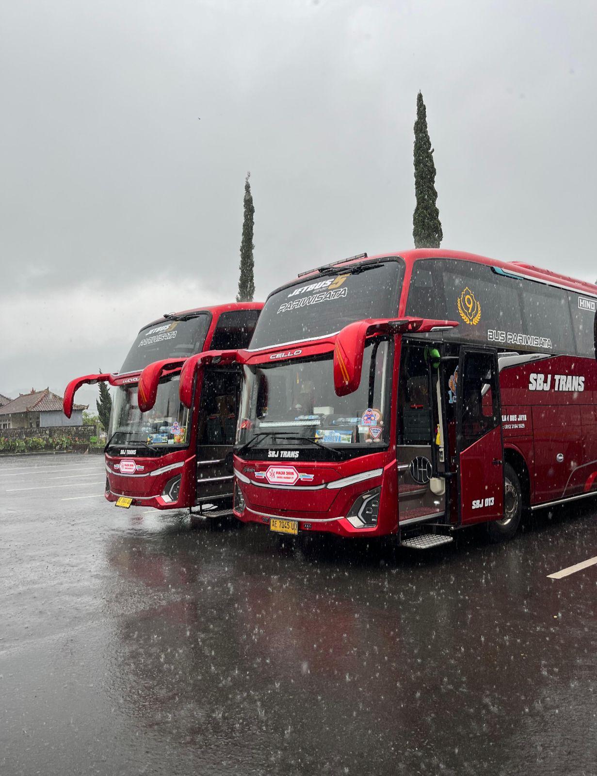 Bus