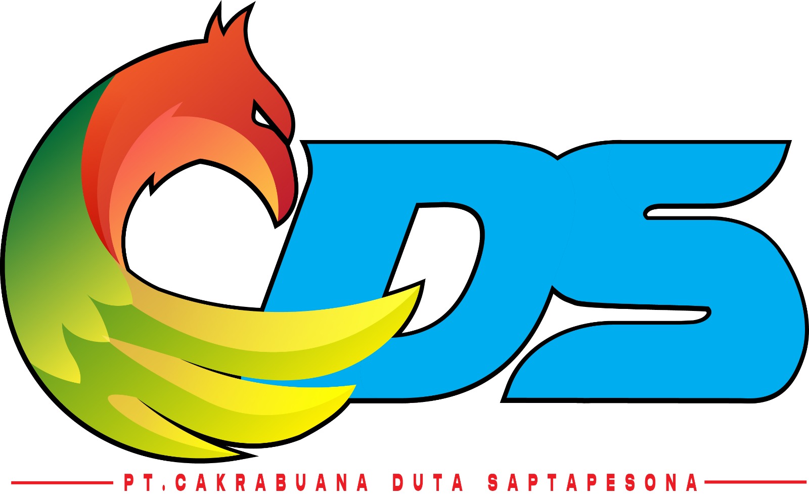 Logo CDS